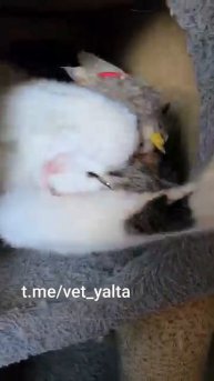 Муся счастлива что у неё теперь семья