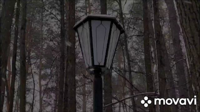 16 ноября Снежная поездка в лысьву