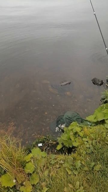 Вечерняя рыбалка на визе