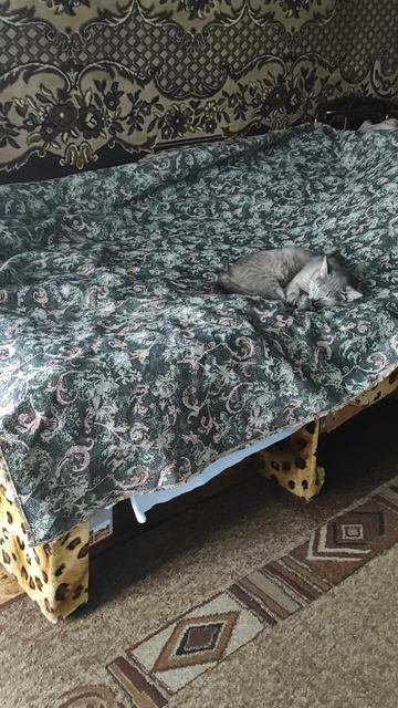 1000030490.mp4 Проза.