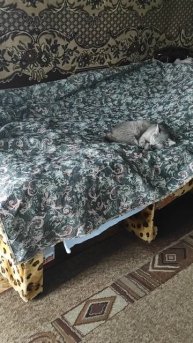 1000030490.mp4 Проза.