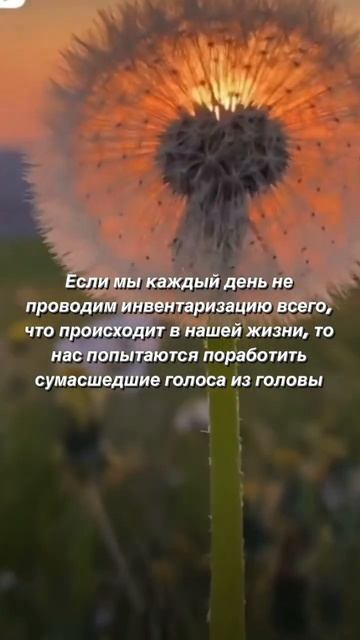 #осознанность #отношения #психология #саморазвитие #изобилие #счастье #успех #любовь