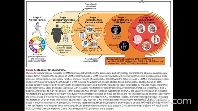 Ranolazine Ранолазин