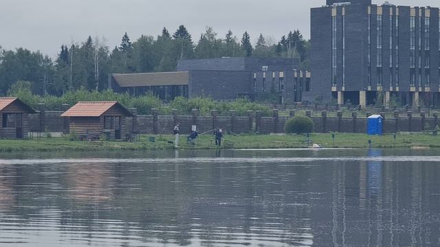 Поимка карпа