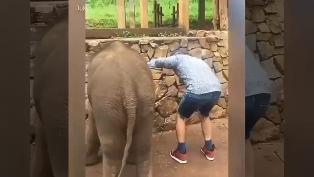 Ты Чё СНИМАЕШЬ ? ? ? ? ))