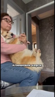 Вся правда о корги❗️
