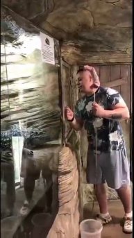 История Глаши - нильского крокодила Ялтинский крокодиляриум