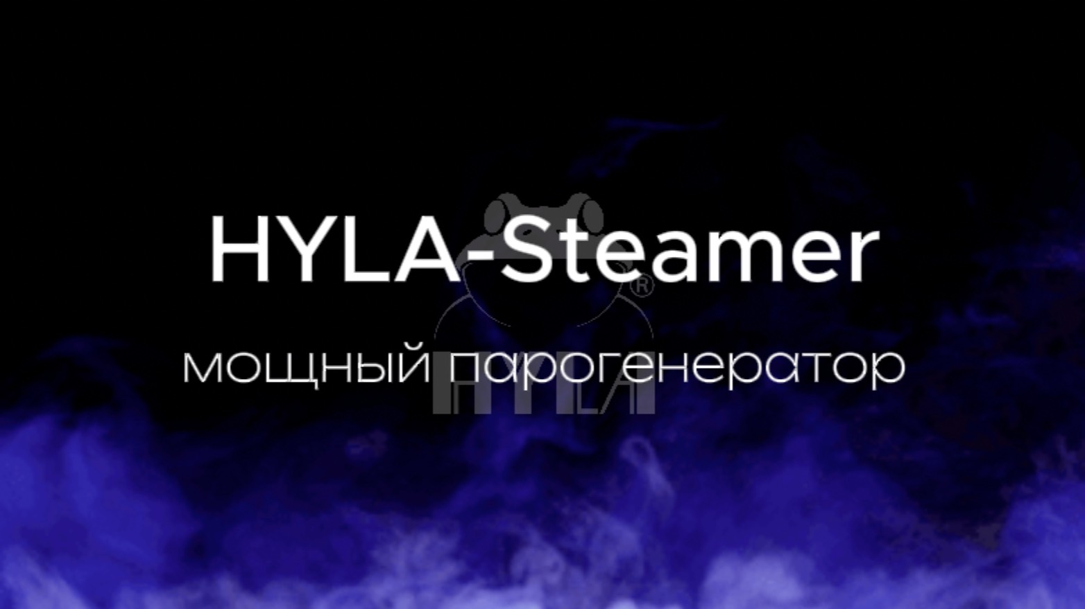 Парогенератор HYLA Steamer
