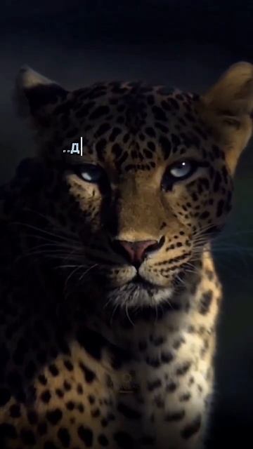 #психология #изобилие #успех #счастье #силамысли #саморазвитие #осознанность #любовь #отношения