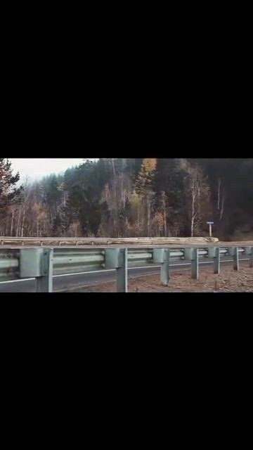 Моя любимая модель Toyota