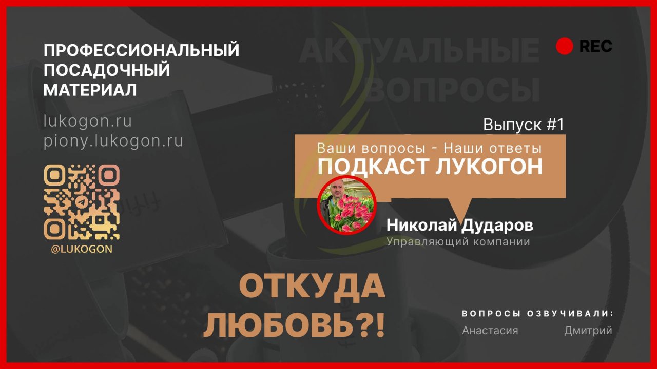 ПОДКАСТ ЛУКОГОН #1
Очистка луковиц от шелухи Выбор сорта тюльпанов Любовь к делу и Биоинженерия