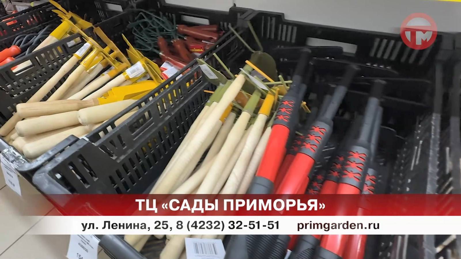 Всё своё. Свежие овощи, ягоды, зелень собирают дачники в Утёсном