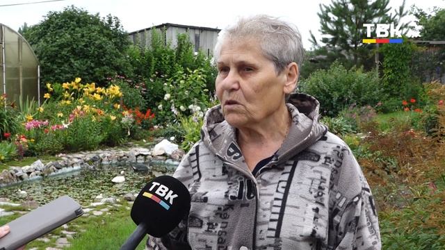 Сентябрь вместо июля – огородники Искитимского района спасают урожай