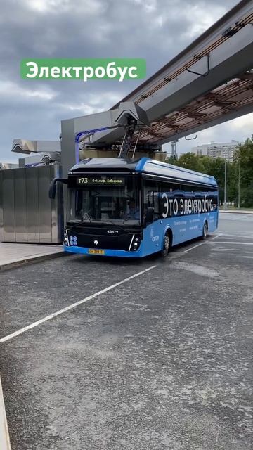 Зарядка электробуса Москва