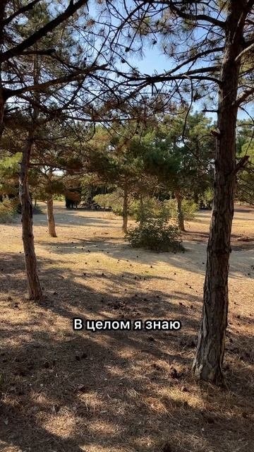 Нет особого смысла бояться