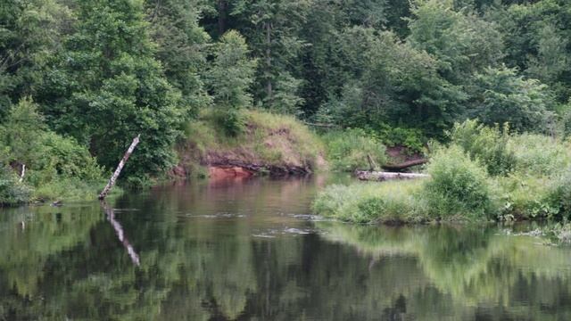"МАКУШКА МАРИЙСКОГО ЛЕТА"... (Фото Измаила ЕФИМОВА (Йошкар-Ола), музыка - Andre GAGNON (Канада))