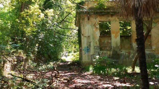 Заброшенный санаторий в Новом Афоне: призраки советского курорта | Абхазия