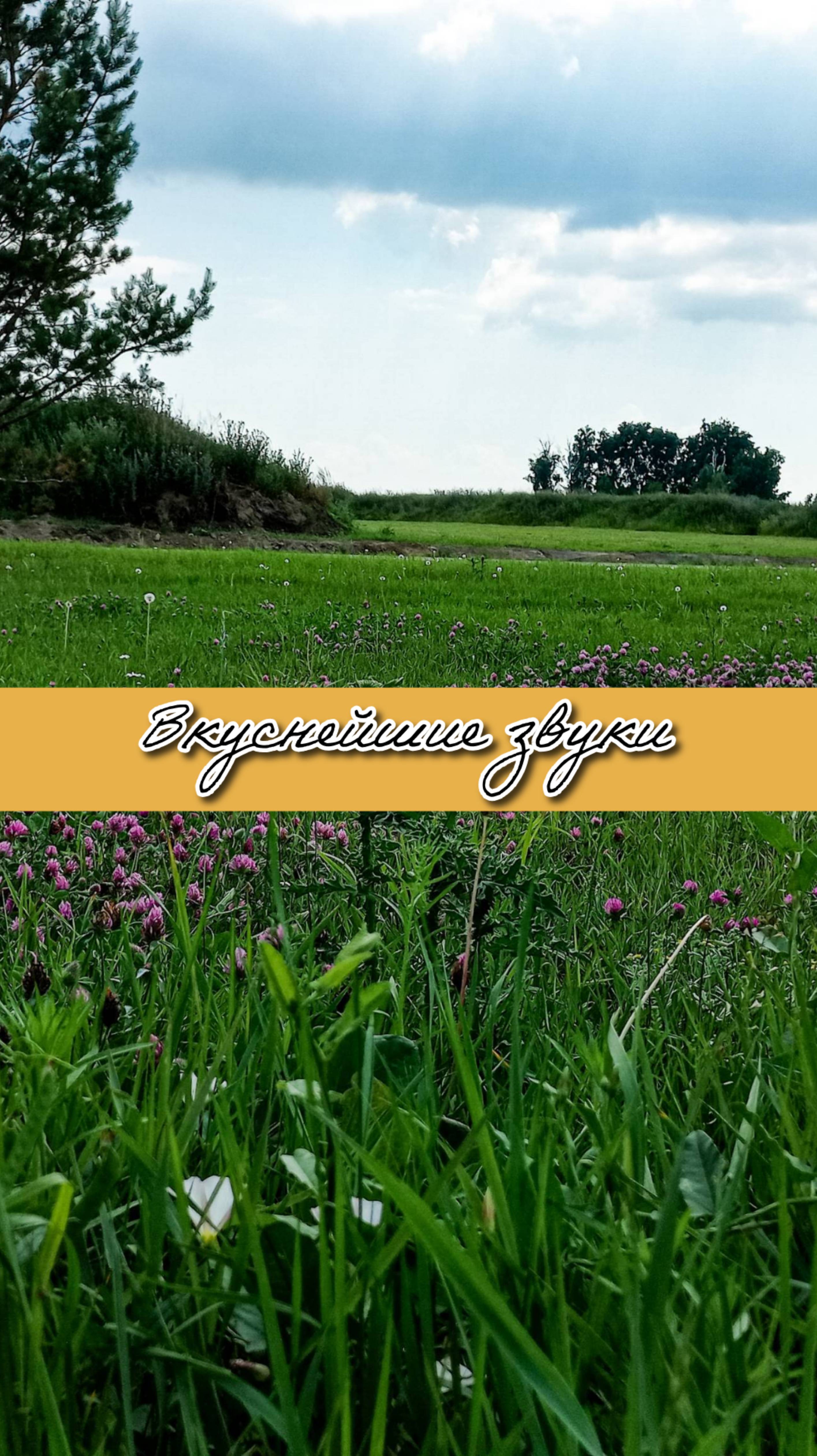 Хоть ложкой ешь звуки 😛 #shorts