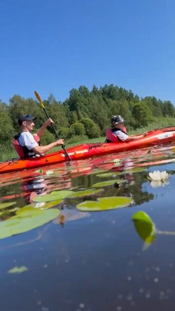 Тур под заказ 19 июля 2025, 18 км от пос. Холмово до пос. Студеного через озеро Любимовское.mp4