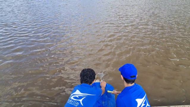 Запуск карпа