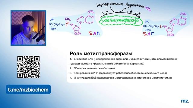 ОБМЕН ЦИСТЕИНА и МЕТИОНИНА за 10 МИНУТ! // На Биохимическом