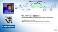 ОБМЕН ЦИСТЕИНА и МЕТИОНИНА за 10 МИНУТ! // На Биохимическом
