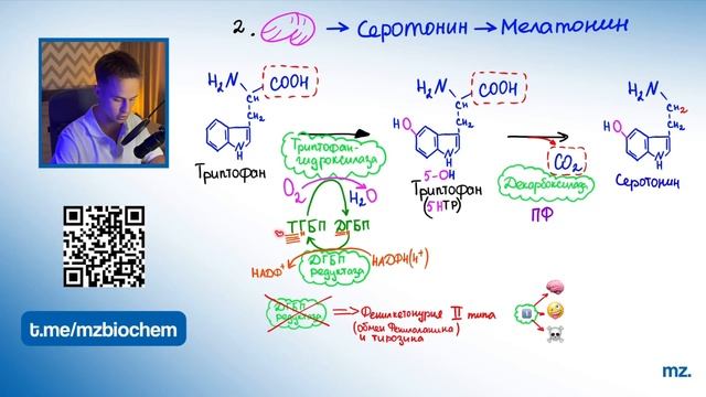 ОБМЕН ТРИПТОФАНА за 8 МИНУТ! // На Биохимическом