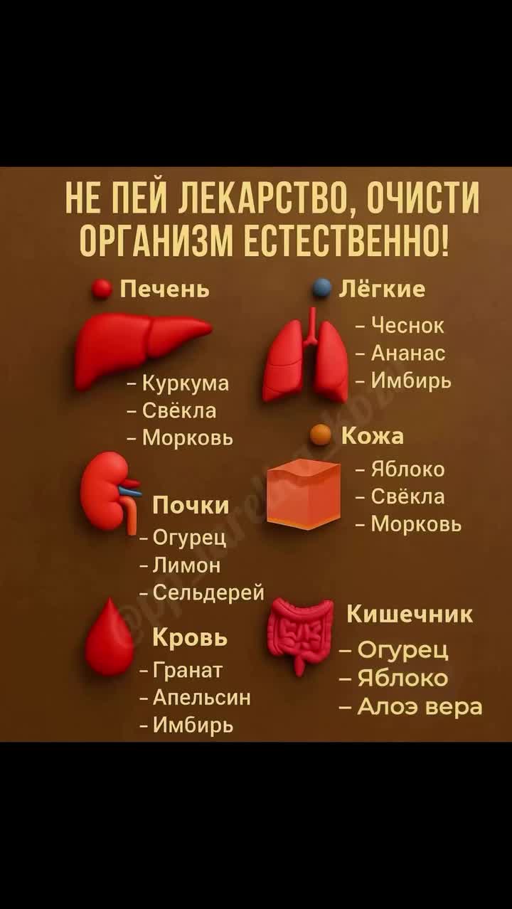 ЕСТЕСТВЕННЫЙ ДЕТОКС: ЧТО ОЧИЩАЕТ КАЖДЫЙ ОРГАН И ПОДДЕРЖИВАЕТ ЗДОРОВЬЕ 🔥✅