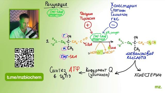 ХОЛЕСТЕРИН за 12 МИНУТ! // На Биохимическом