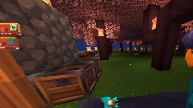 сервер по игре (5)