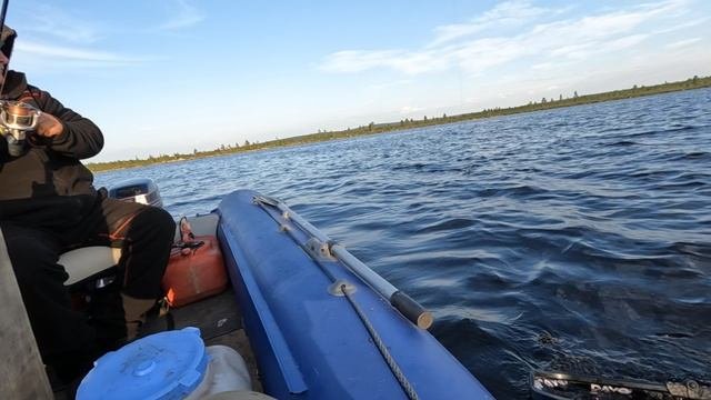 Кумжачка зацепили