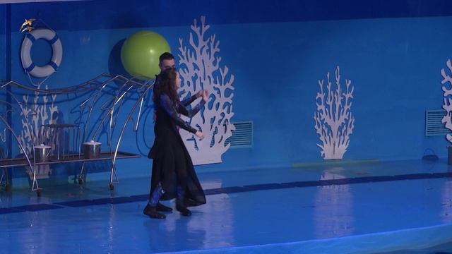 День Китов и Дельфинов_1 07.2025