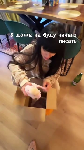 Первый «мини» пиг умкр, потом у Мирона обнаружилась аллергия