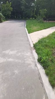 На роликах - 20.07.2025