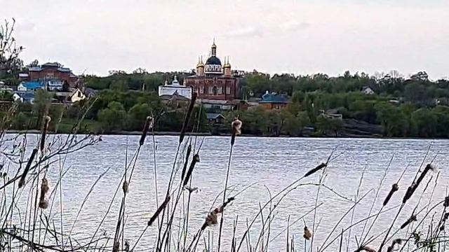 Лебедянь сезеново