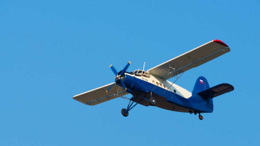 Дело возбуждено в отношении пролетевших над пляжем в Ленобласти пилотов