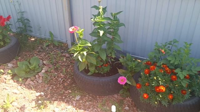 конец июля 25 года.mp4