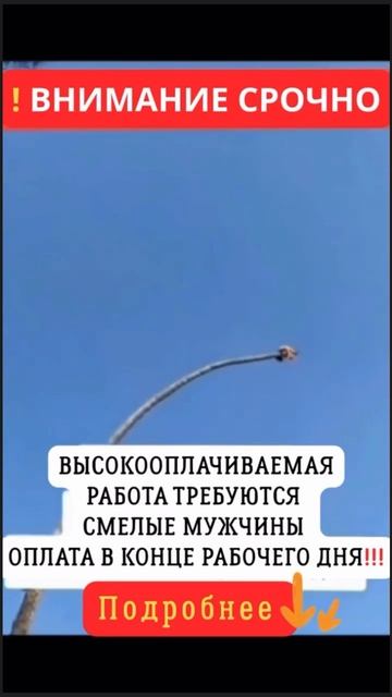 работа для экстремальных