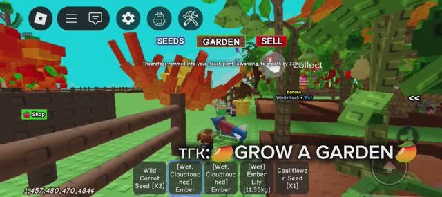 ТГК:🥭GROW A GARDEN🥭