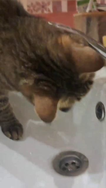 Вкусная водичка