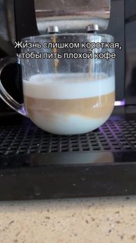 Жизнь слишком коротка