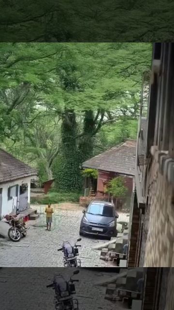 Сын вернулся домой из школы.