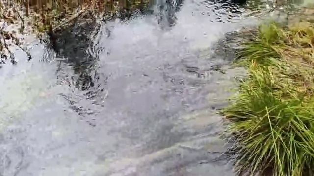 Гейзерное озеро от Галины 24.07.25.