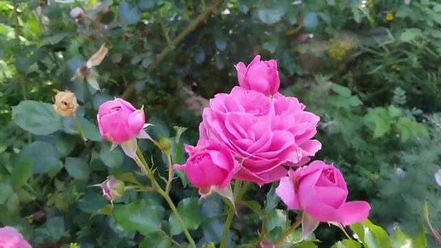 14 июля 2024 г.