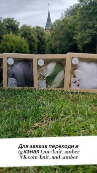 Ловцы снов с янтарём