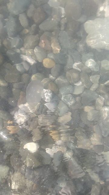 24.07.25 Имеритинка 🌊✌️☀️