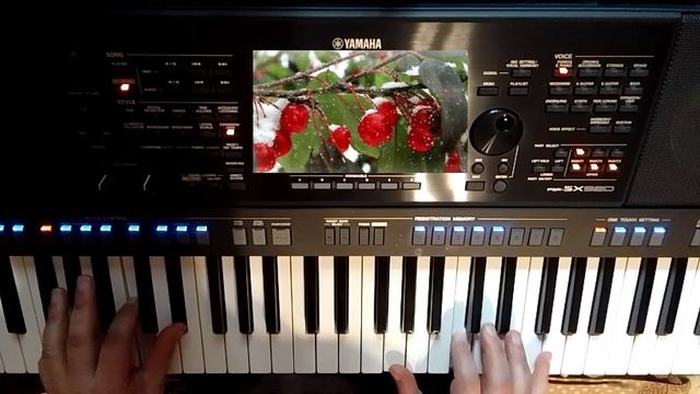 Анжелика Варум_Зимняя вишня_Кавер на синтезаторе