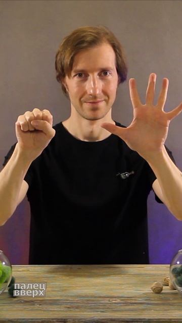 Тренировка мозга и пальчиков рук (6 нейромоторика)