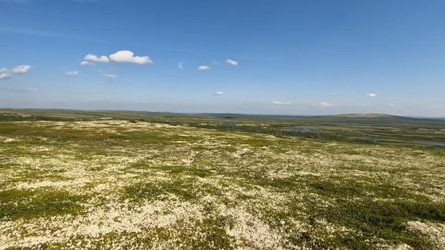 Под горой