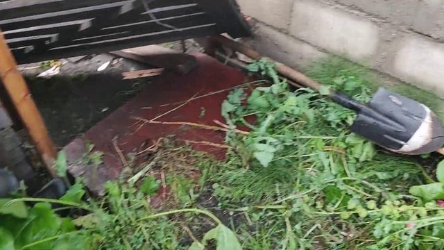 После сегодняшнего урагана (23.07.2025)